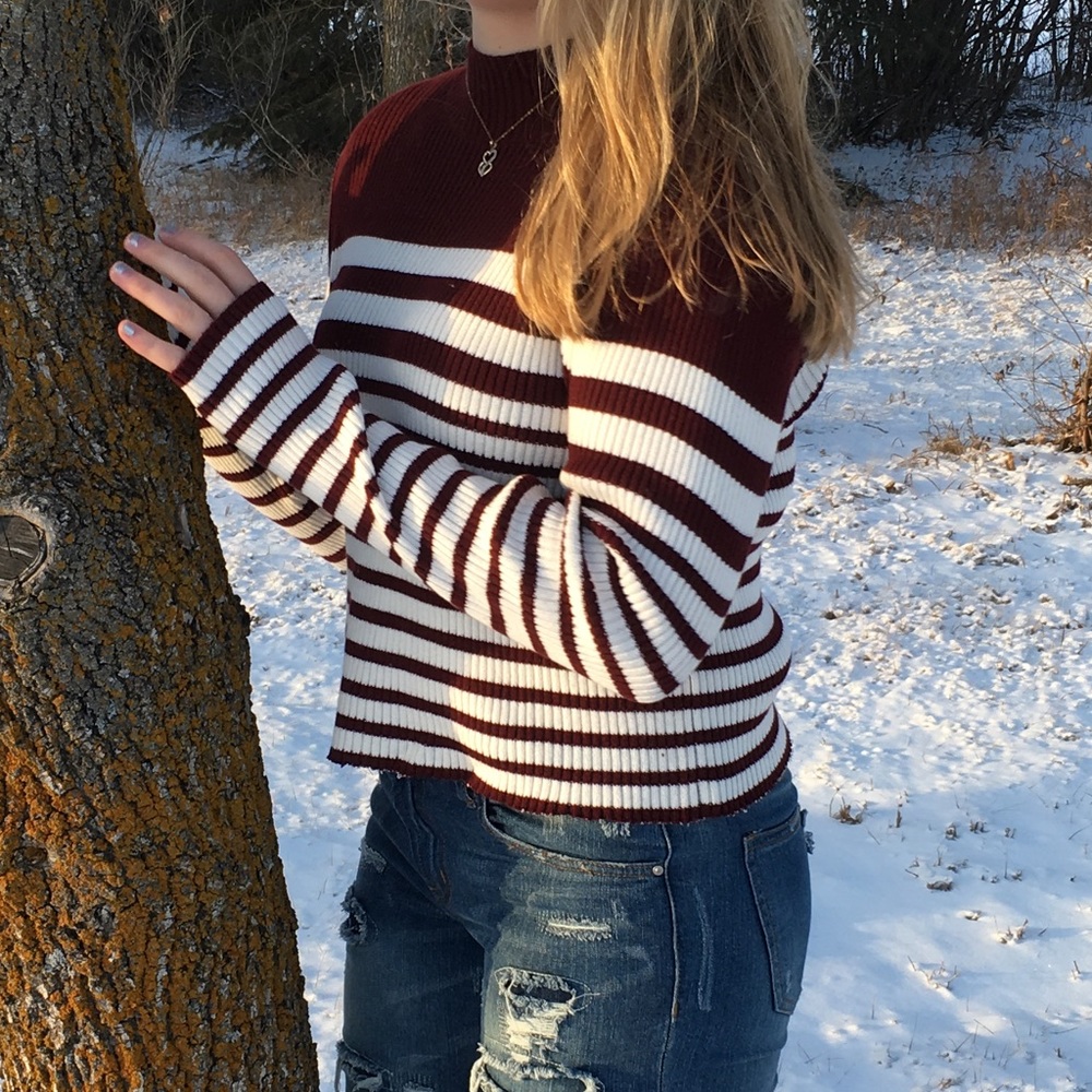 Cropped Turtle Neck